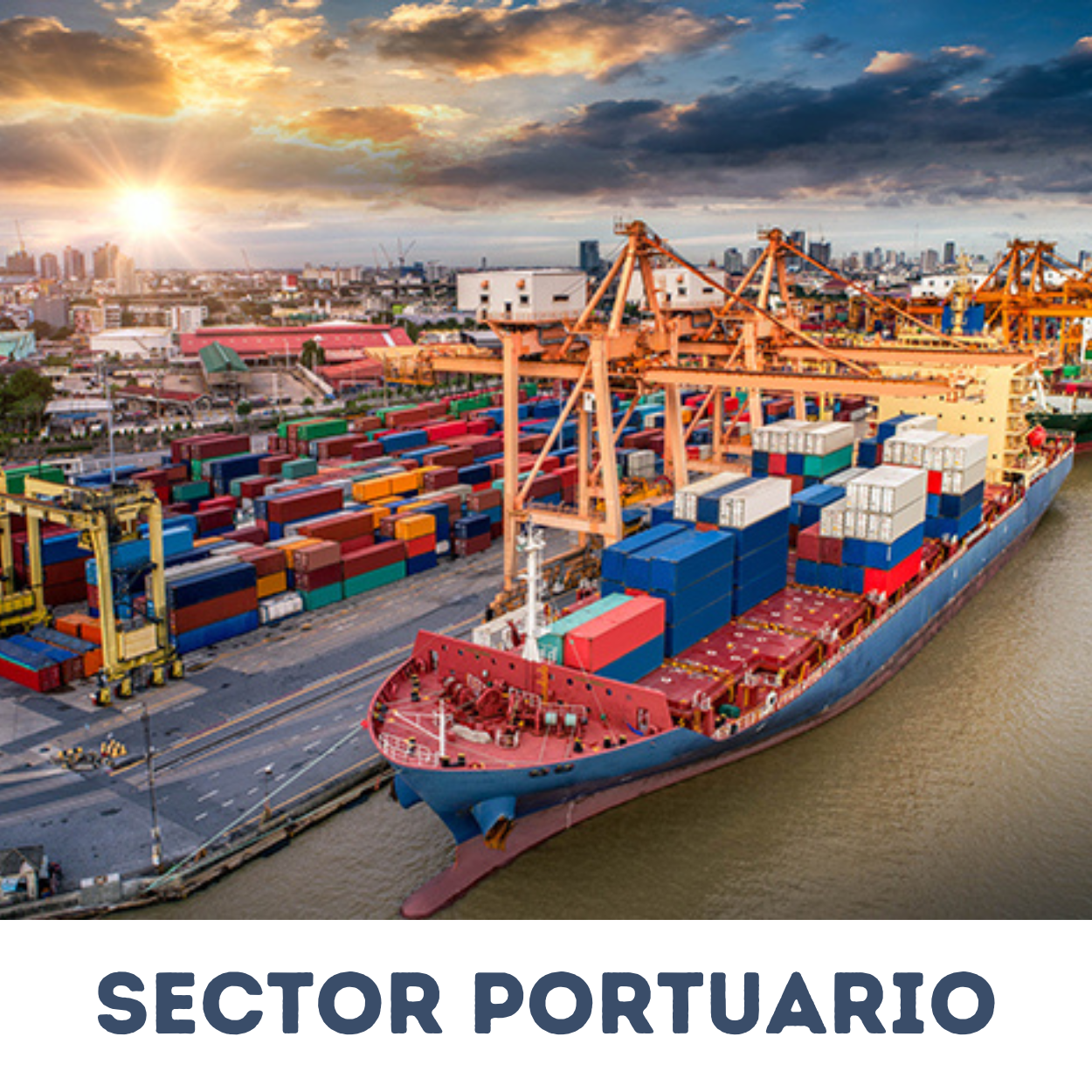 Sector portuario